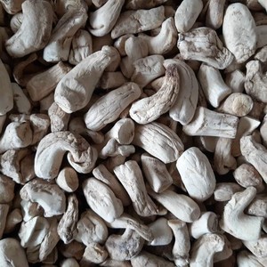 Tige de champignon pour l'exportation Tige de champignon du fournisseur du Vietnam Meilleure vente de tige de champignon - Product Image 6