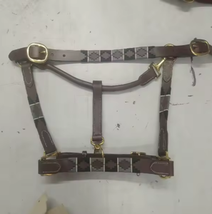 Équipement d'équitation en cuir pour cheval licou style polo - Product Image 4