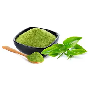 Manufacturer and Supplier of Good Quality 100% Pure Brown Yellow Color Food Grade Green Tea Herbal Extract Powder