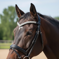 Fronture d'équitation en cuir noir de qualité supérieure avec garniture en cristal pour chevaux – Taille, couleur et logo personnalisables