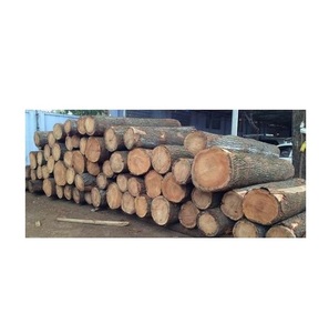Industrial Grade <b>Oak</b> Wood Logs - Large Quantity Available - Product Image 4