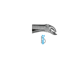 Fórceps de extracción de acero inoxidable de alta calidad Fig 28 exportadores y fabricante - Product Image 6