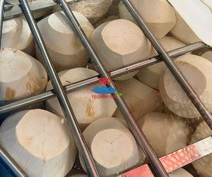 Exportation du Vietnam Noix de coco fraîches Premium Agrumes - Product Image 3