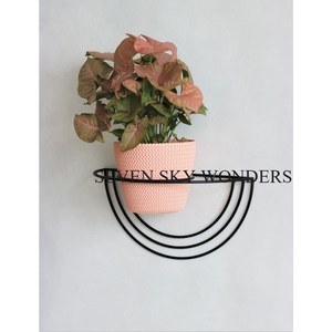 Maceta colgante de hierro para interiores, maceta de jardín, valla para colgar en la pared, maceta de plantas de tamaño personalizado de calidad Superior para uso doméstico al aire libre - Product Image 6