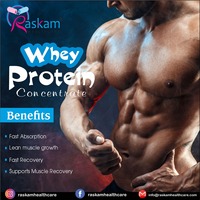 Complément Sportif pour la Construction Musculaire, Concentré de Protéines de Lactosérum à la Vanille Française 5lbs, Sans Gluten pour Adultes, pour un Système Immunitaire Fort