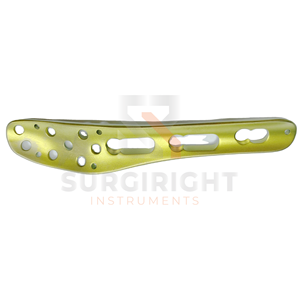 Petite plaque d'os orthopédique de haute qualité pliant les implants d'instruments chirurgicaux vétérinaires en acier inoxydable par Surgiright - Product Image 2