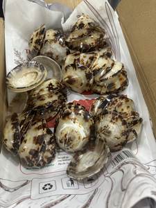 Ride the Limpet Shell Trend Wave: conchas de Vietnam naturalmente hermosas, fáciles de usar para la decoración del hogar e ideas de decoración de fiestas calientes - Product Image 6