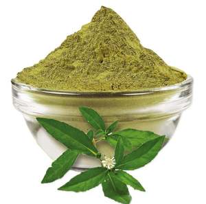 ผงบริงราจแท้ 100% จากธรรมชาติ คุณภาพพรีเมียม เกรดเครื่องสำอาง สำหรับบำรุงและดูแลเส้นผม - Product Image 2