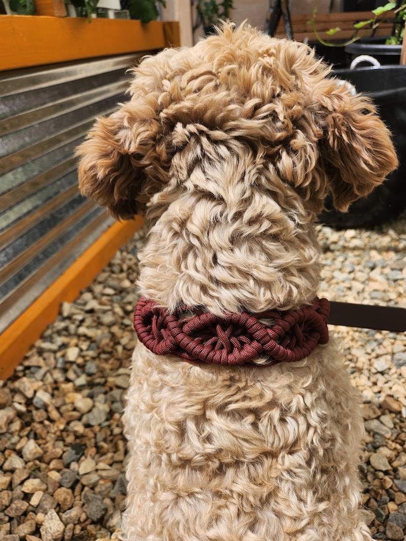 ช็อกโกแลต