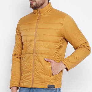 Veste matelassée pour hommes OEM de haute qualité 2025 avec logo personnalisé, nouveau design avec col montant pour l'hiver - Product Image 4