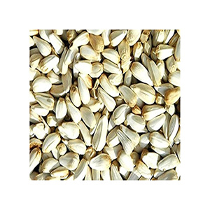 Suministro a granel de semillas de cártamo para agricultura y procesamiento - Product Image 6