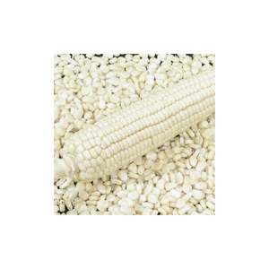 Maíz blanco de alta calidad disponible a granel con las mejores tarifas al por mayor - Product Image 1