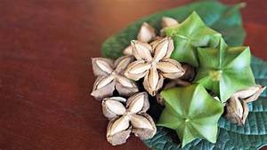 ACEITE PURO DE SACHA INCHI PRENSADO EN FRÍO ETIQUETA LIMPIA VEGANO RICO EN OMEGA TRES SEIS NUEVE PARA EL APOYO INMUNE Y EL BIENESTAR DEL CORAZÓN - Product Image 2