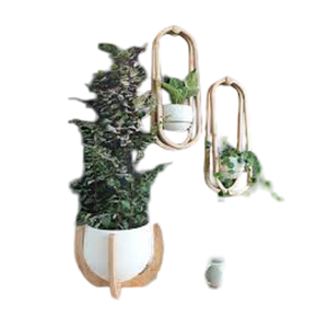 Avec manteau en poudre de couleur or et blanc Bol à fleurs en métal fini Jardinière suspendue pour balustrade Balcon Jardin - Product Image 1