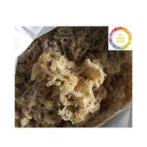 Bon prix d'algues cottonii séchées au soleil et assaisonnées à la Offre Spéciale, polyvalentes pour les collations, les salades et les formulations de beauté - Product Image 3