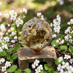 Esfera de Coral Agatizado Natural, Bola de Cristal de Coral Fósil Grande, Especímen Mineral Pulido, Piedra de Exhibición para Coleccionistas - Product Image 3