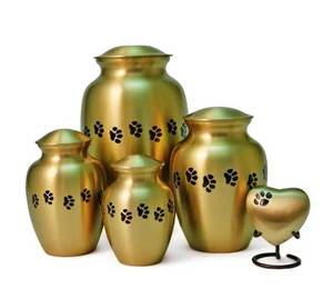 Matte <b>Black</b> Pet Memorial Urn with Silver Paw Detail for Simple and Respectful Remembrance - Product Image 4