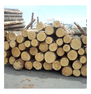 Troncos de pino para la fabricación de muebles con veta recta y calidad consistente para producción de alta gama, compra al por mayor - Product Image 3