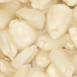 Harina de maíz seco congelado cultivado con OMG de alto contenido proteico, maíz seco agrietado, mayorista para consumo humano, distribuidor de maíz seco de Canadá - Product Image 6