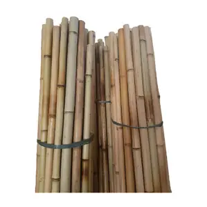 เสาไม้ไผ่ธรรมชาติ 100% สําหรับตกแต่งเฟอร์นิเจอร์ขายส่งธรรมชาติ Lean The Tree Sticks ไม้ไผ่ขนาดใหญ่จํานวนมาก