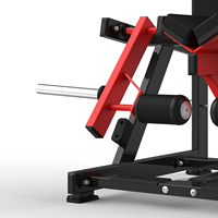 Presse à jambes linéaire commerciale avec rail vertical droit pour entraînement complet du bas du corps – Équipement de gym RS-1030