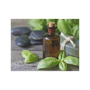 Fourniture en vrac d'huile essentielle douce de basilic pur à 100% - Product Image 6