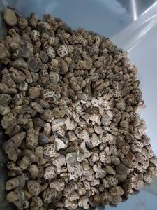 Champignon Shiitake séché bon pour la santé - Product Image 3