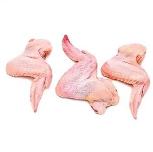 Venta de alitas de pollo congeladas a granel, perfectas para restaurantes, catering y distribución mayorista - Product Image 1