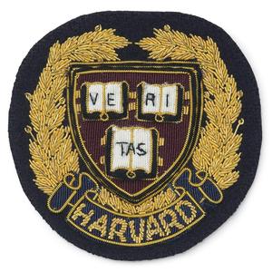 Broches en fil de lingot de Chenille en dentelle brodée de meilleure qualité-Taille de couleur personnalisée à bas prix Mode de haute qualité en gros - Product Image 6