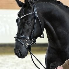 Brida de caballo de alta calidad a bajo precio, venta al por mayor, brida de caballo de cuero indio Real resistente negra a la venta - Product Image 2