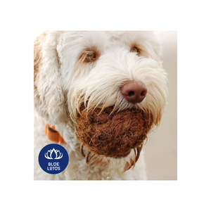 Jouet à mâcher pour chien en fibre de coco, choix populaire, pour le nettoyage des dents - Product Image 2