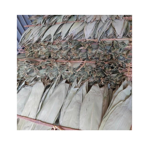 Hoja de bambú seca de gran venta para envolver alimentos Platos de sushi de estilo vietnamita natural de hojas de bambú HOBA secas - Product Image 1