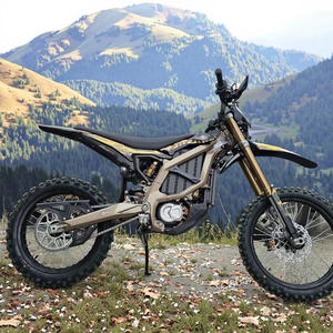 Moto électrique tout-terrain Sur Ron 2025 Ultra Bee 2 Carbon Black 48V 60AH Marron avec moteur brossé 351-500W, vitesse 40-60km/h - Product Image 1