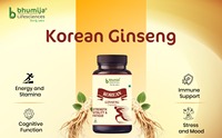 Capsules de ginseng coréen de haute résistance Supplément énergétique à base de plantes de qualité alimentaire Bouteilles de culture sauvage Exportation en gros disponible