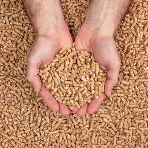 เม็ดไม้เม็ดไม้สน6มม. สำหรับขาย - Product Image 3