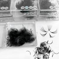 Meilleures ventes de éventails de cils pré-faits - Éventails uniformes 2D-10D en vrac pour la vente en gros en salon