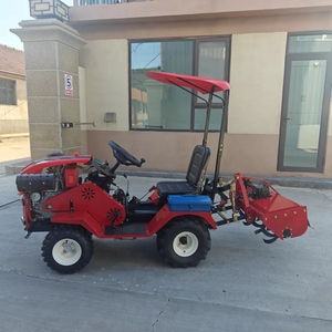 Mini Trattore Massey Ferguson con Motore Diesel <span class=keywords><strong>per</strong></span> Agricoltura, Lavori Agricoli, Falciatura Prato, <span class=keywords><strong>Taglio</strong></span> <span class=keywords><strong>Erba</strong></span>, Caricatore Frontale e Giardinaggio - Product Image 3