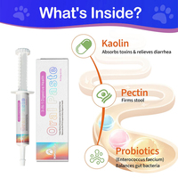 Pâte de gel de L-Lysine de marque privée personnalisable pour les soins de santé et les suppléments pour animaux de compagnie