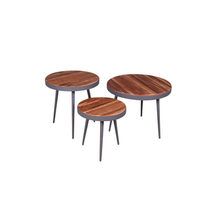 Mesa de Centro Ovalada de Madera de Estilo Nórdico Moderno, Decorativa, Portátil, de Lujo Ligero, Muebles para Sala de Estar, Apartamento Pequeño, Hotel, Hogar - Product Image 2