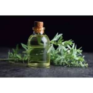 Huile d'absinthe pure 100% Huile en vrac en gros Absinthe naturelle et huile d'absinthe pure - Product Image 1
