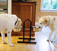 Énorme demande vente surélevée mangeoire pour animaux de compagnie hauteurs réglable surélevé chien bol support avec mangeoire lente et bol en acier inoxydable