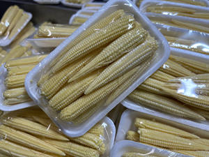 Maíz Bebé Congelado Listo para Usar, Limpio y Delicioso, Exportación de Vietnam - Product Image 4