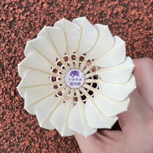 Pluma de bádminton Rex Feather de 5.0g, clásica para interiores, de alta velocidad, para entrenamiento, OEM personalizada - Product Image 4