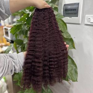 SDD BURGUNDY SHADE BOUNCY BOUCLES BURMESE BOUCLÉS STYLES ONDULÉS MATIÈRE PREMIÈRE NATURELLE EXTENSIONS DE CHEVEUX HUMAINS VIETNAMIENS MEILLEURE VENTE - Product Image 5