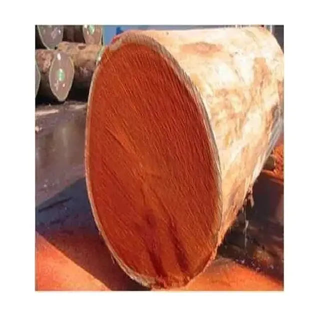 Tốt nhất bán padauk gỗ cứng đăng nhập và gỗ xẻ