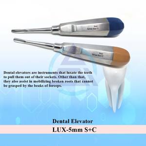 Ensemble dentaire pour extraction de racine dentaire de 2,5 mm, en acier inoxydable avec poignée creuse, implant chirurgical - Product Image 2