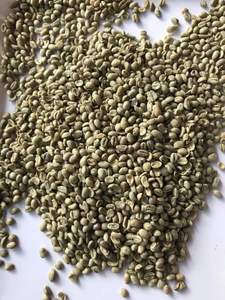 Granos de café de calidad superior PHALCO Robusta Grado 1 60kg Nueva cosecha de fábrica vietnamita Procesamiento verde Embalaje de bolsas de yute - Product Image 2