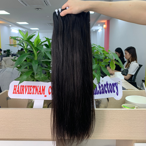 Cabello Humano Vietnamita Remy Natural Liso de Alta Calidad con Doble Trama a Máquina para Mujeres, Todos los Colores - Product Image 1