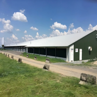 Système de ferme avicole automatique en bâtiment fermé pour bétail 150*12*3m