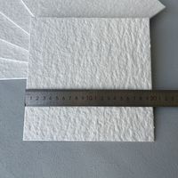 Feuilles de filtre en acétate de cellulose Carton rigide 40*40cm Papier filtre pour laboratoire spécialisé et analyse génotypique